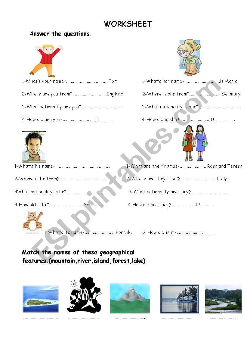 worksheet worksheet