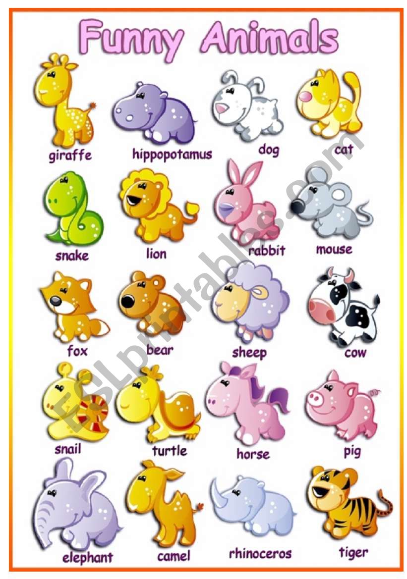 Funny Animals worksheet