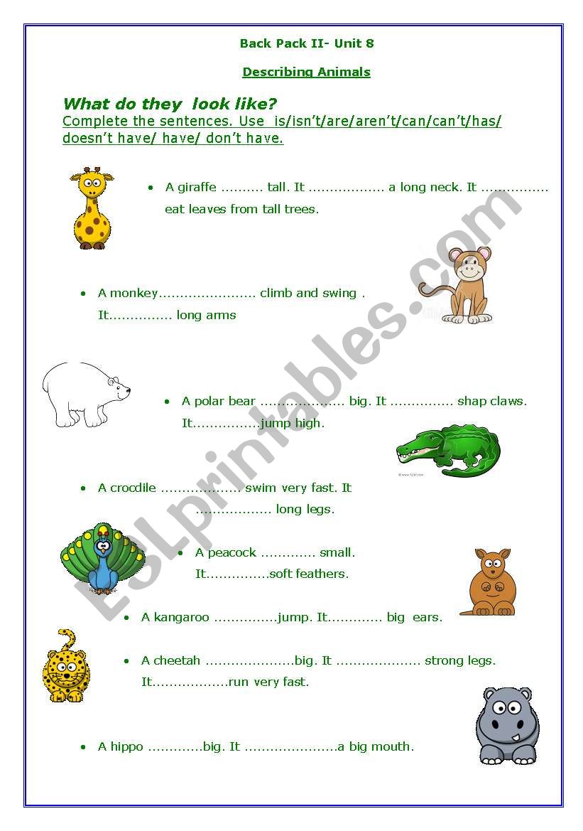 Back Pack 2- Unit 8 worksheet