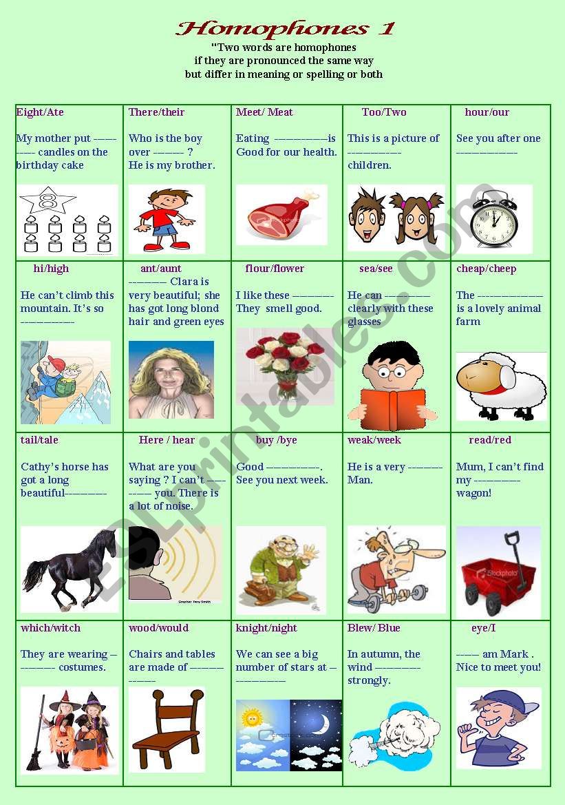 homophones 1 worksheet