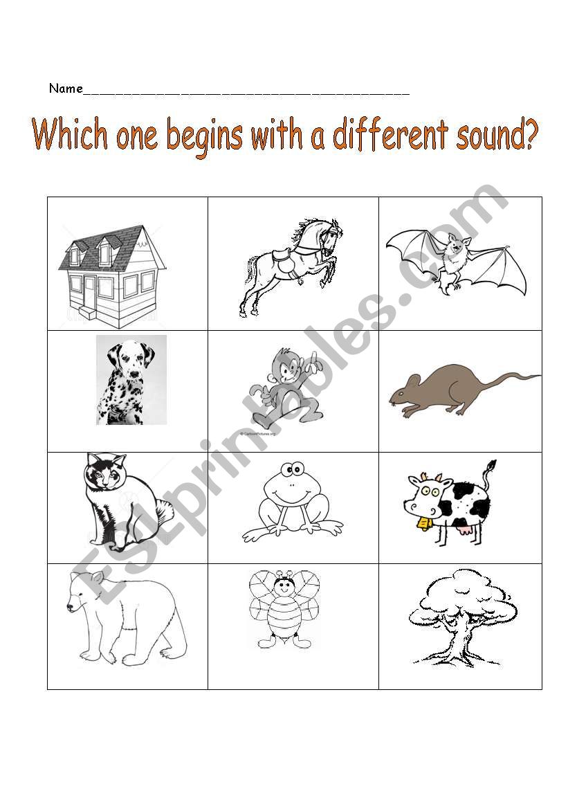 Phonics: Initial Sounds worksheet