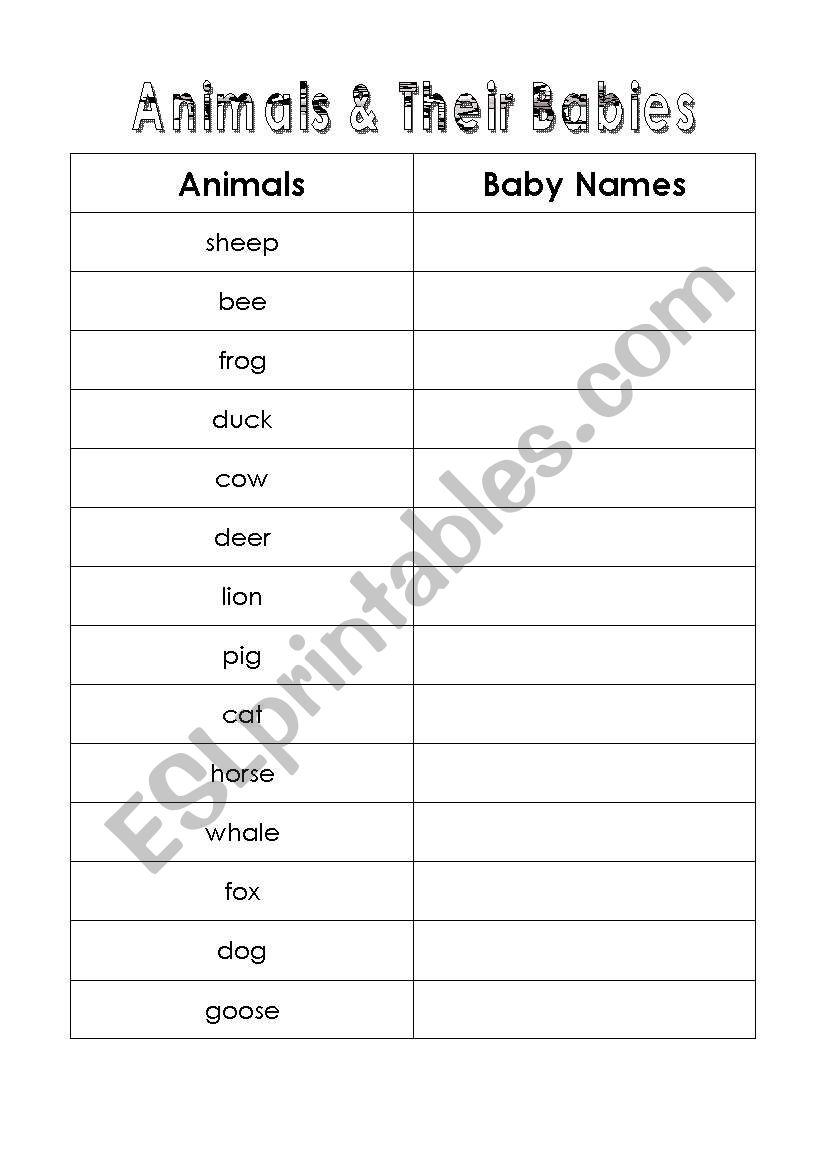 Animals and Their Babies worksheet