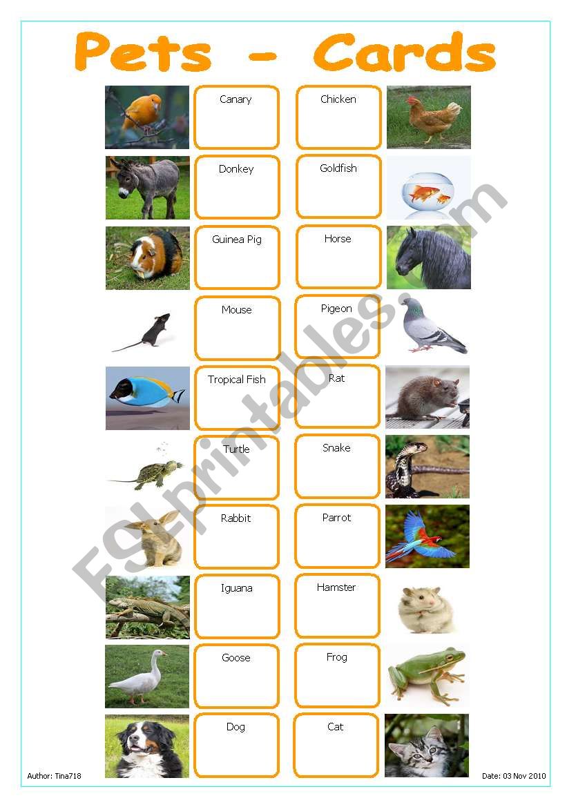 Pets - Cards worksheet