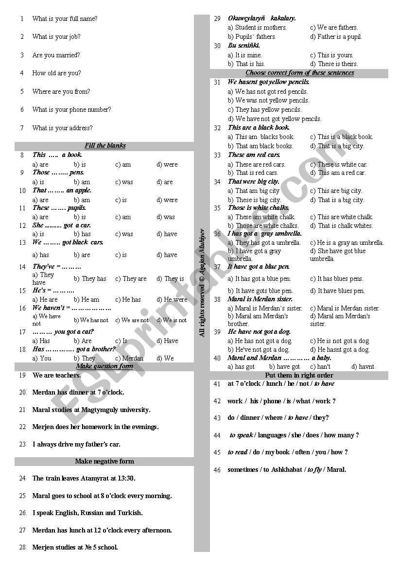 basic grammar test worksheet