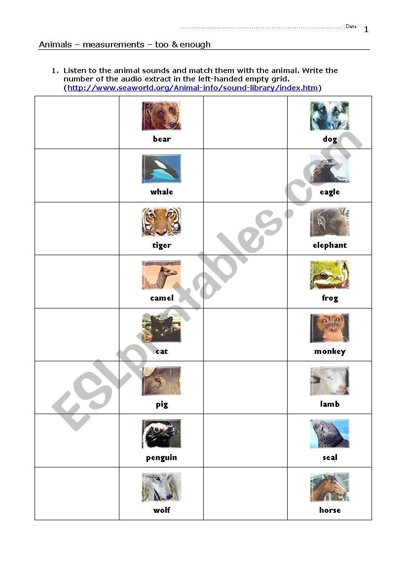 Elementary Animals (vocabulary)