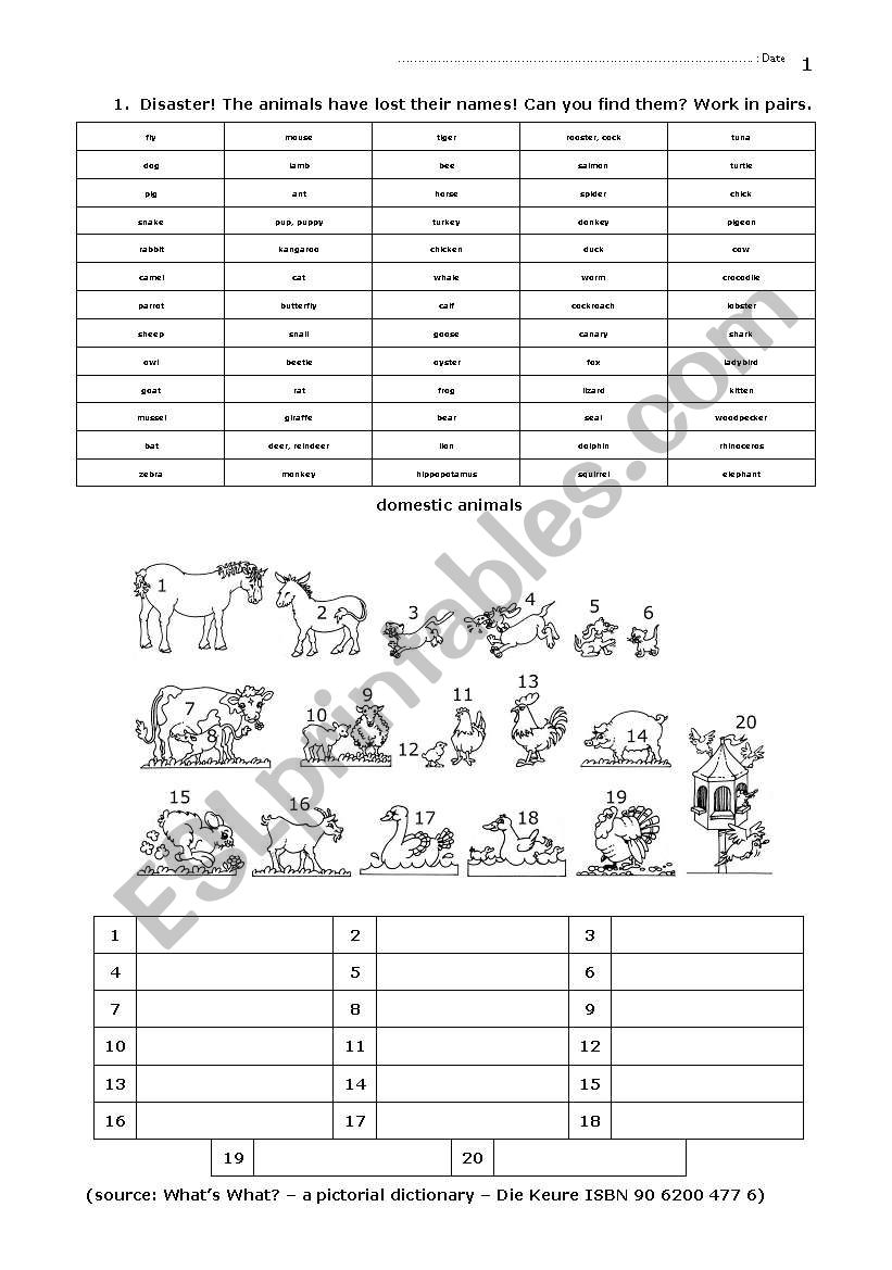 02 Elementary Animals worksheet