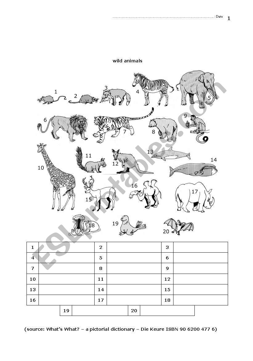 04 Elementary Animals worksheet