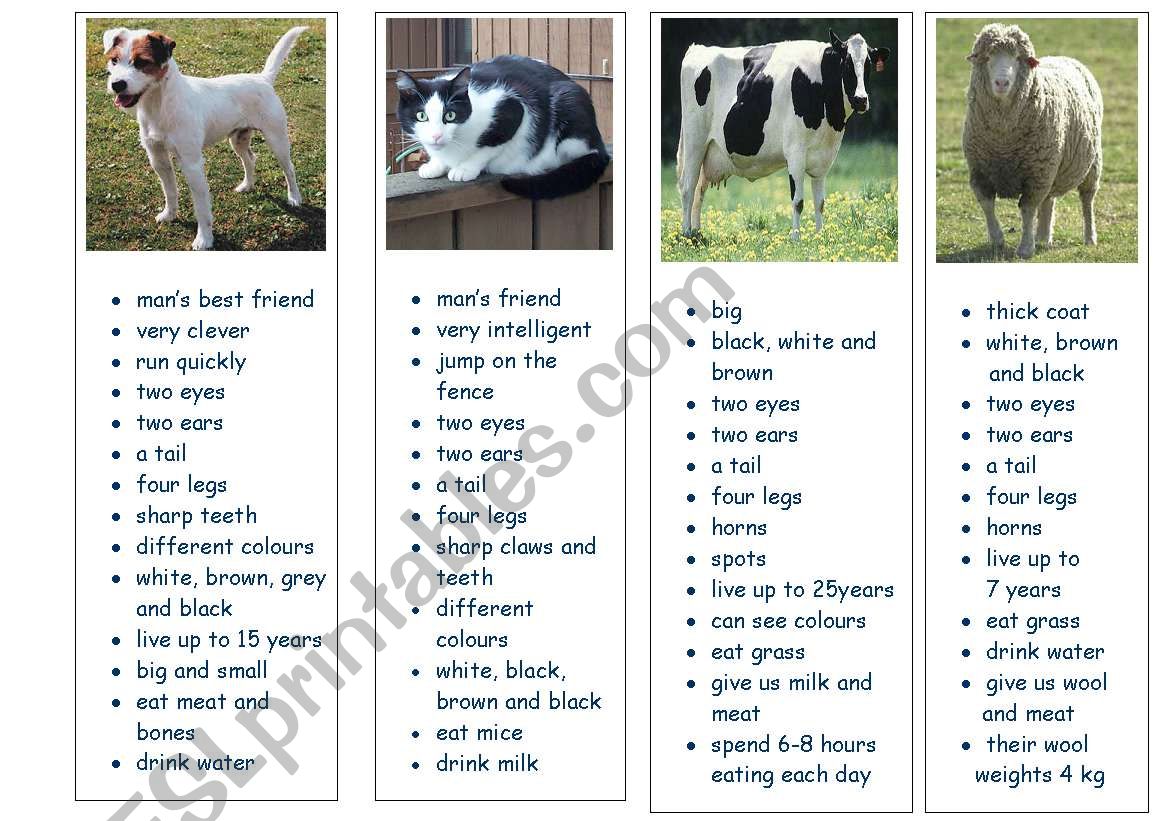 Farm Animals - Fact Files - ESL worksheet by agnes30