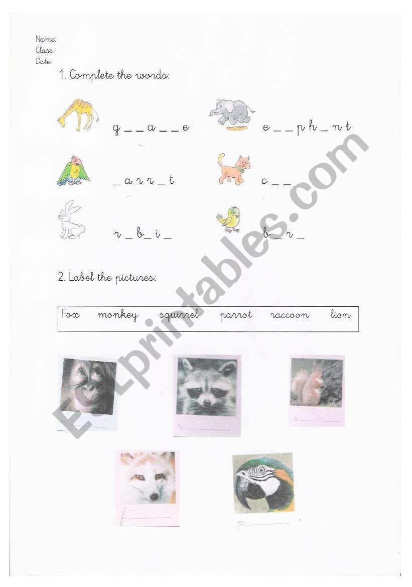 Animals worksheet