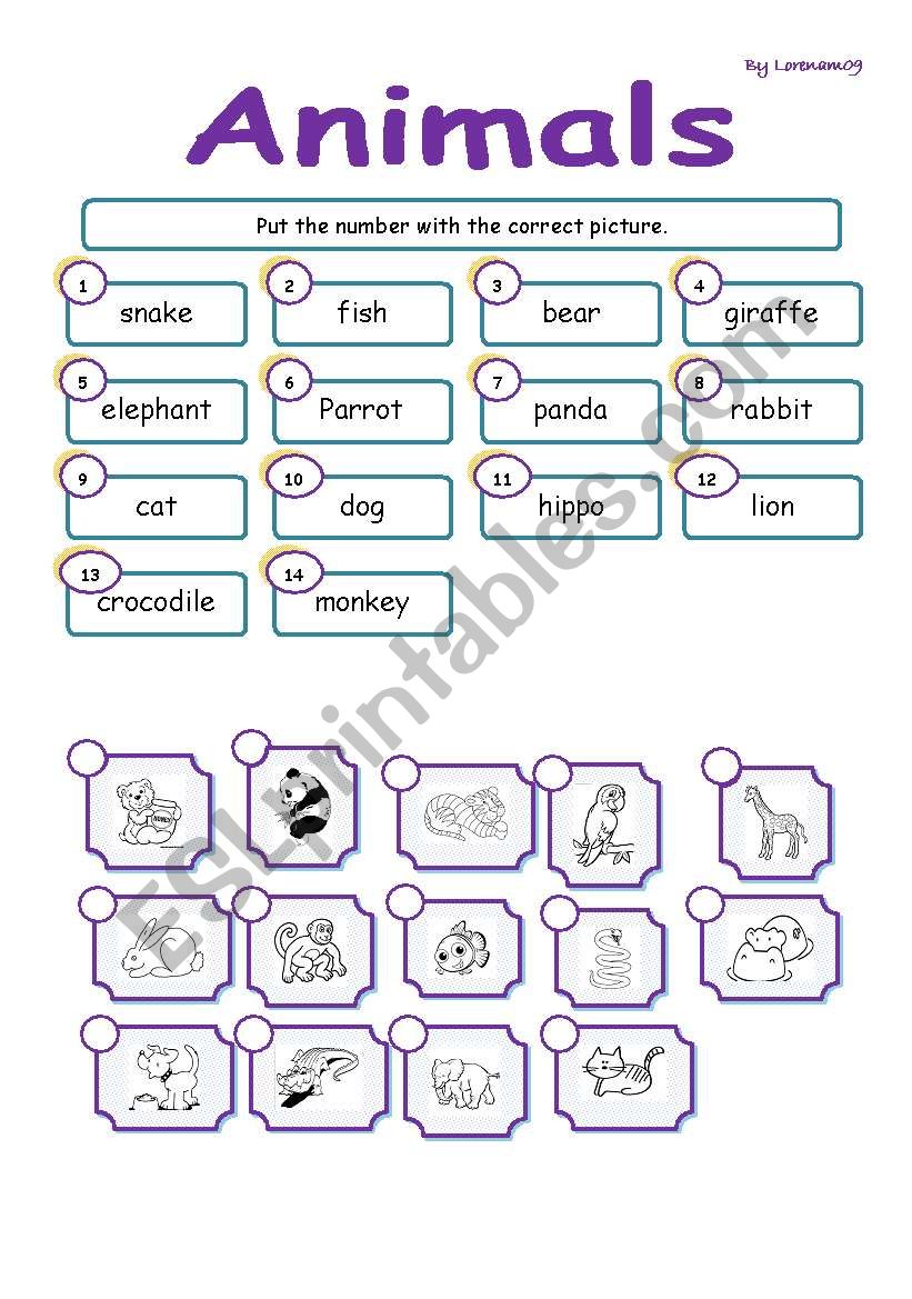 Vocabulary Animals worksheet