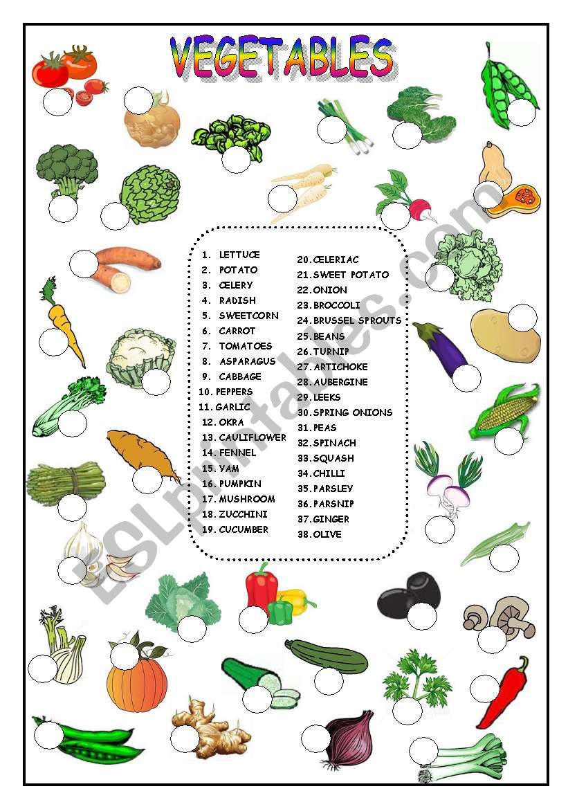 VEGETABLES  (KEY IS INCLUDED) worksheet