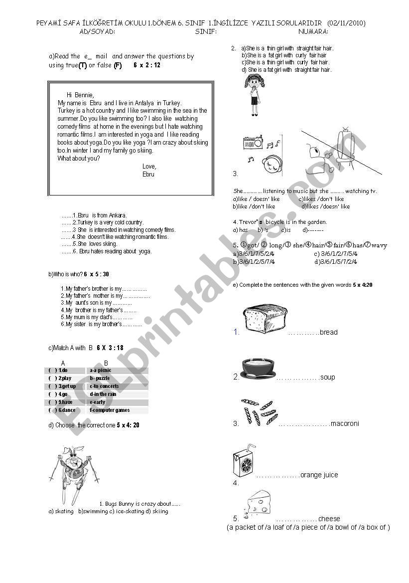 exam for 6 th classes worksheet