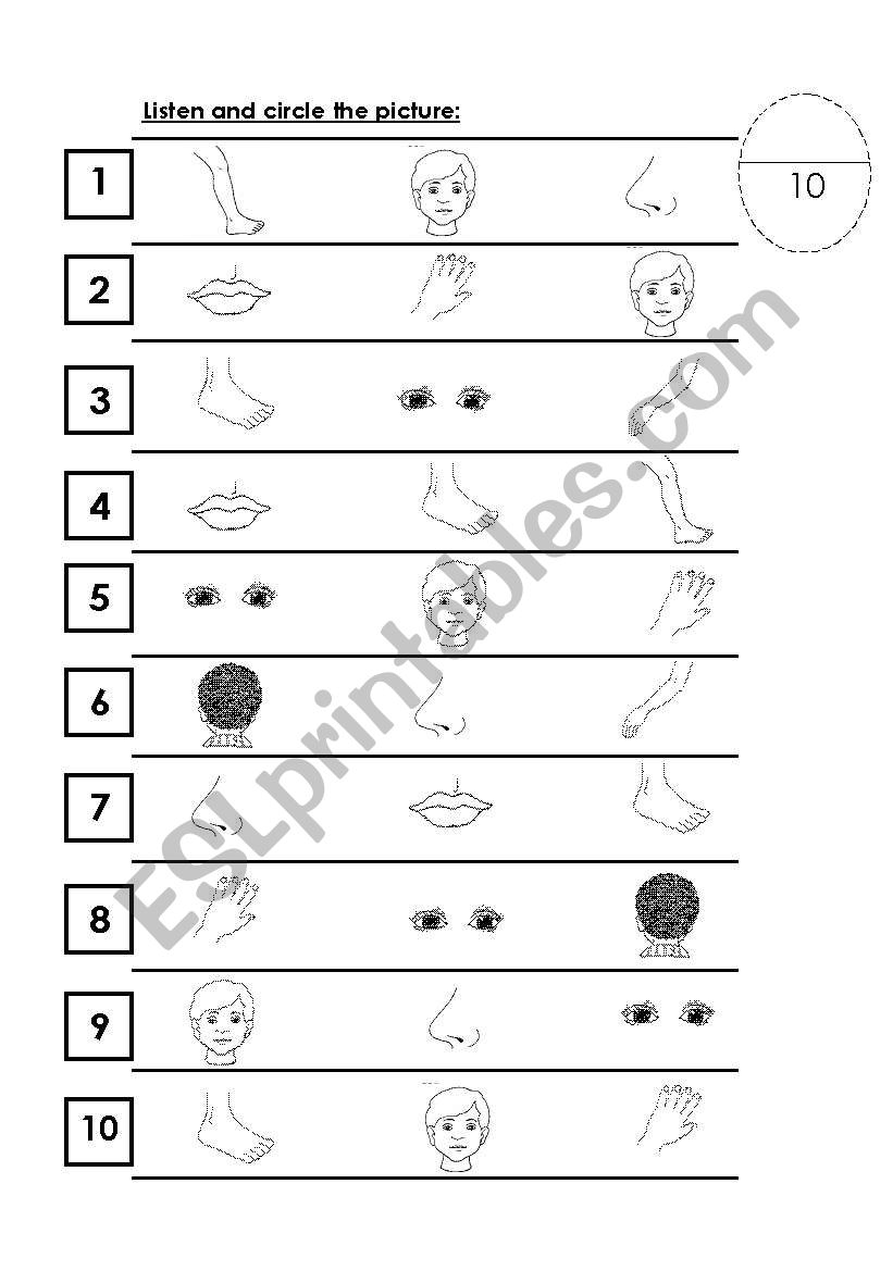 Boday test worksheet