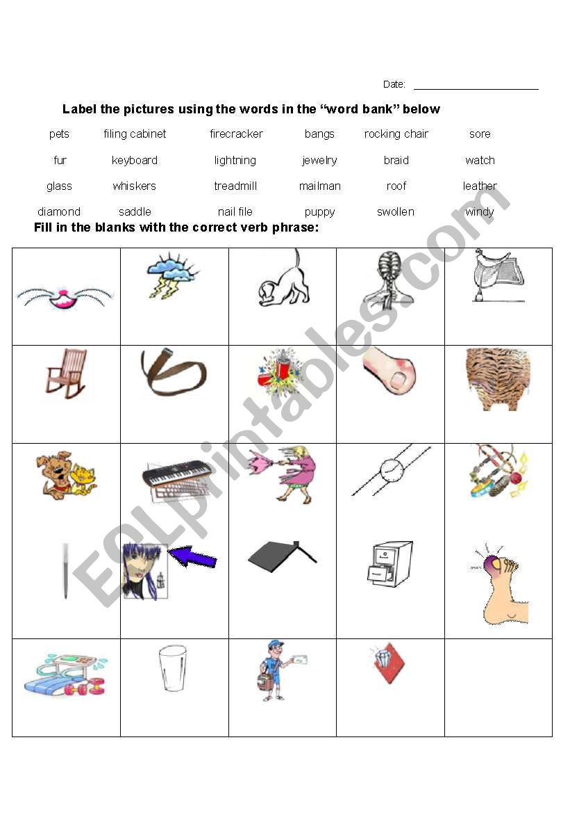 Vocabulary Exercises worksheet