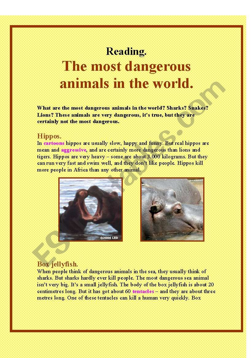 The most dangerous animals in the world - ESL worksheet by tentere