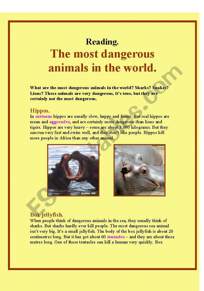 The most dangerous animals in the world - ESL worksheet by tentere The most dangerous animals in the world - ESL worksheet by tentere