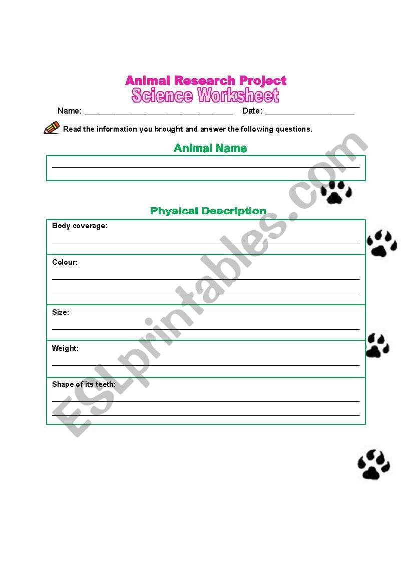 Animal Research Project Worksheet