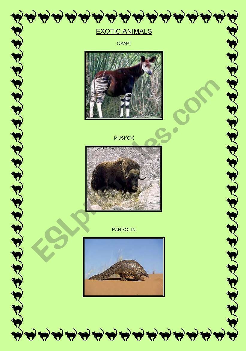 EXOTIC ANIMALS!! worksheet