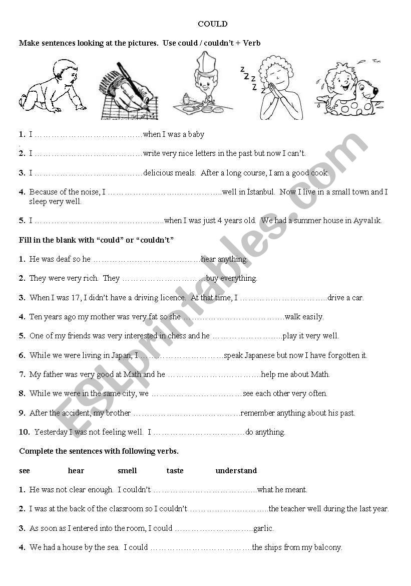 could worksheet