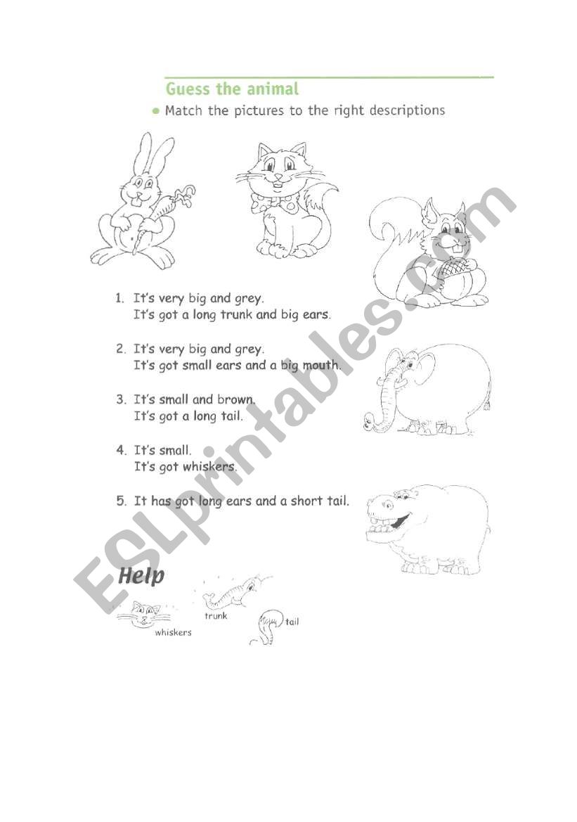 animal riddles worksheet