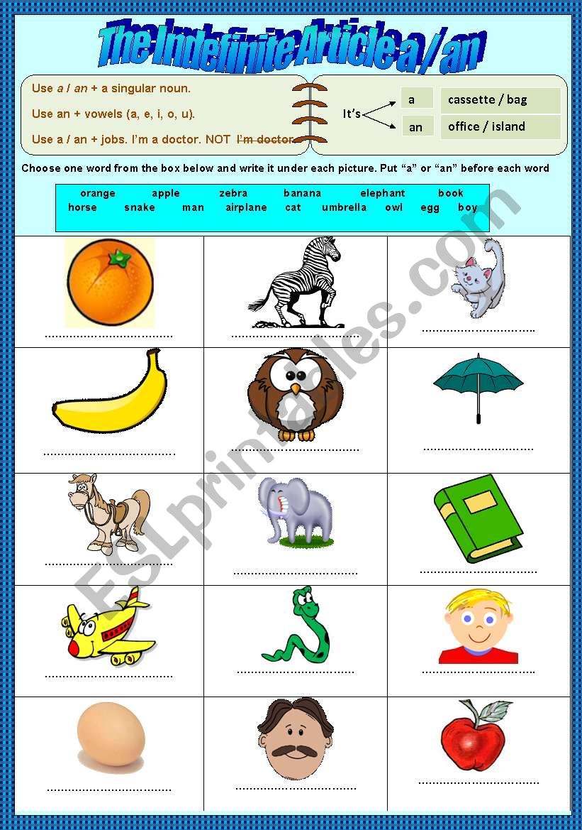 The Indefinite Article worksheet