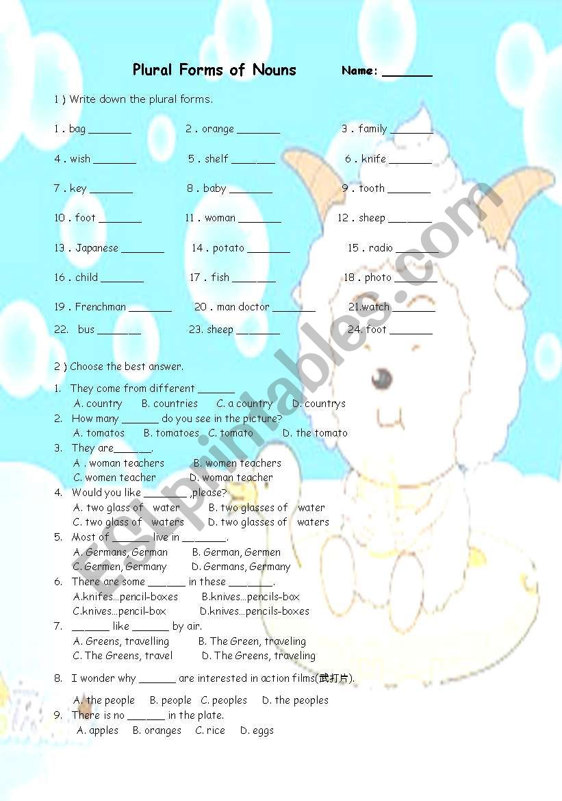 exersices plural form  worksheet