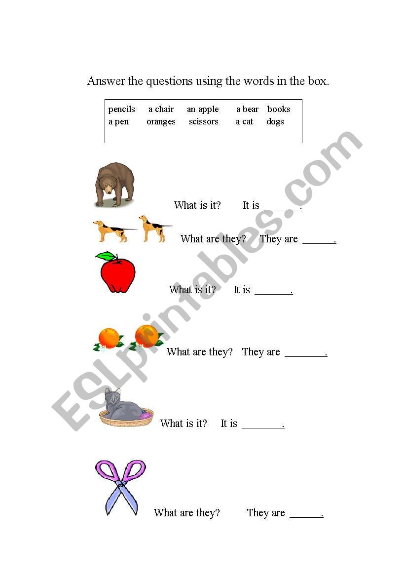 What is it? What are they? worksheet