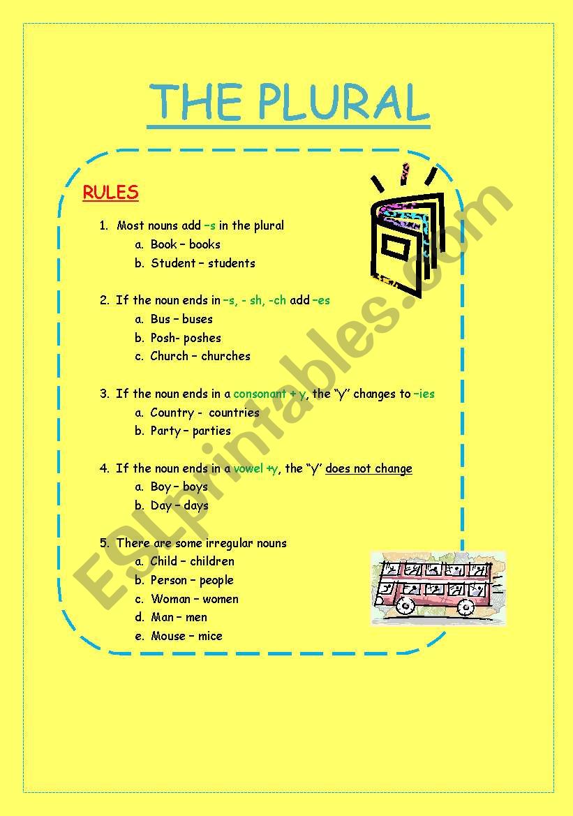 THE PLURAL  worksheet