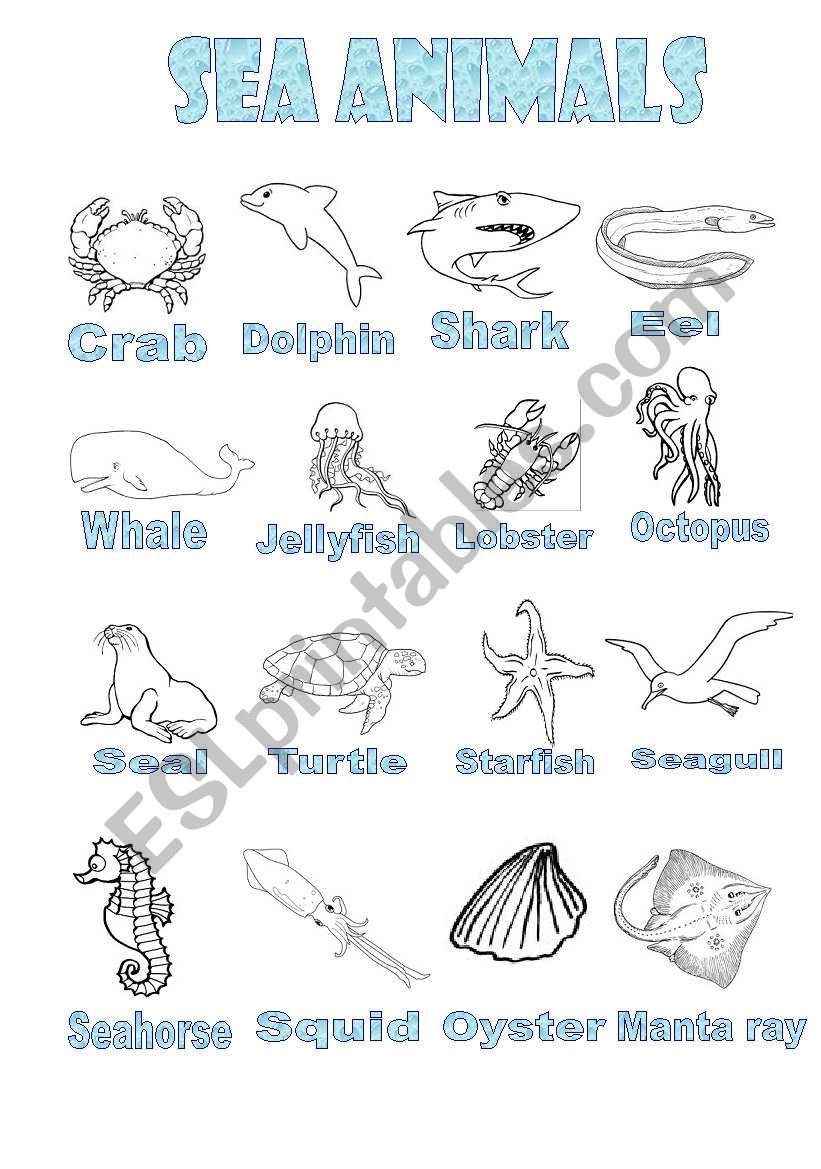 sea animals worksheet