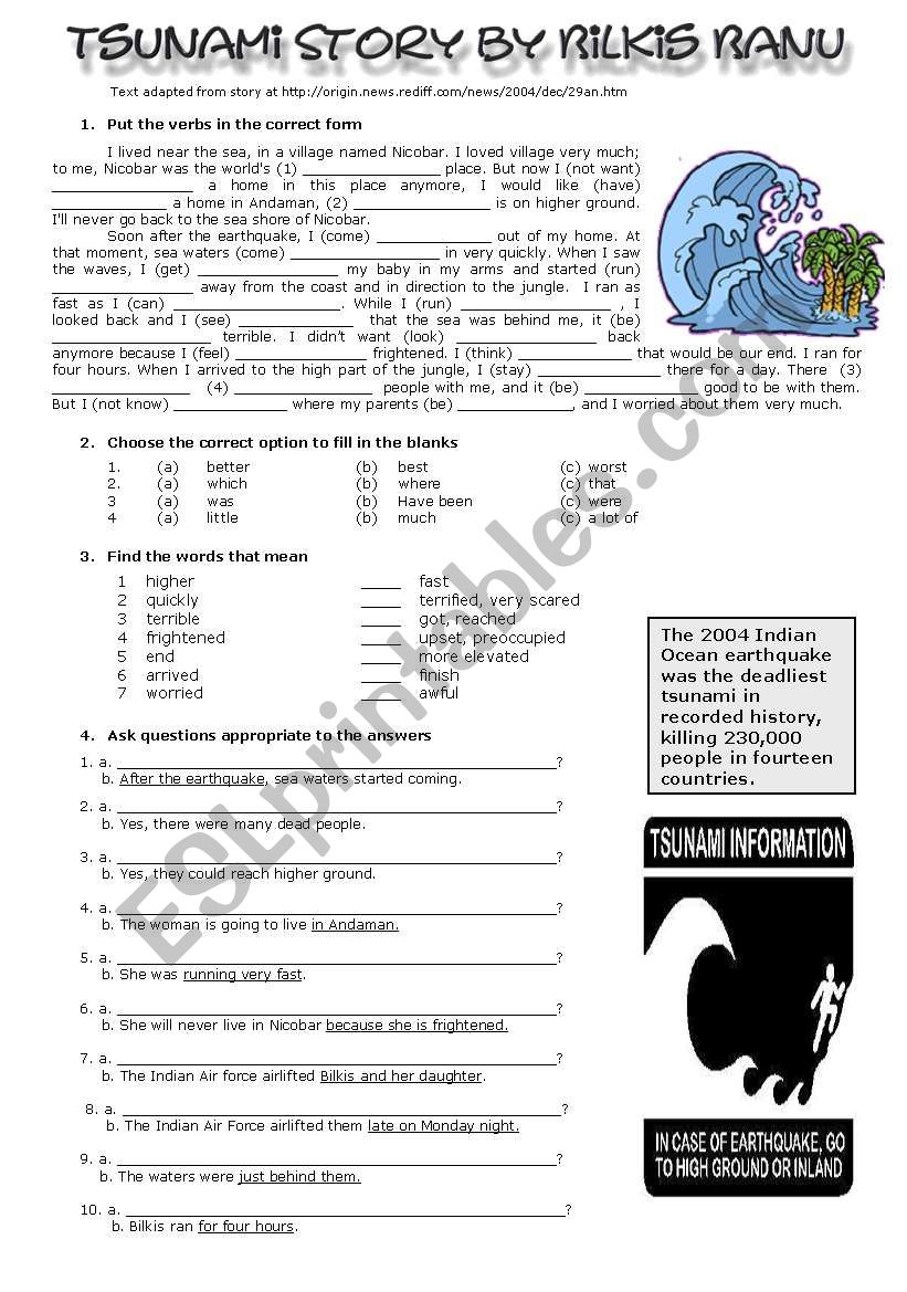 Tsunamy Story by Bilkis Banu  worksheet