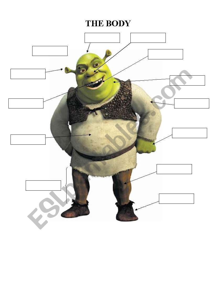 THE BODY - SHREK worksheet