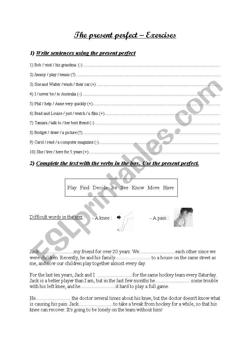 Present perfect exercise worksheet