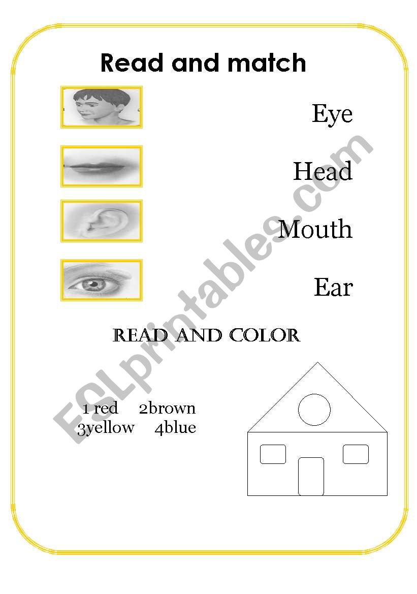 face and colours worksheet worksheet