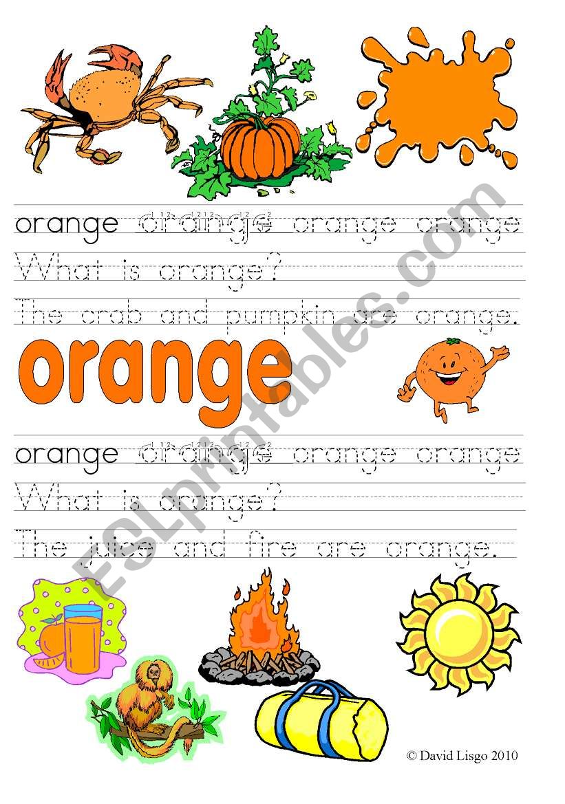 What is orange/black and white?: 4 worksheets in color and B & W