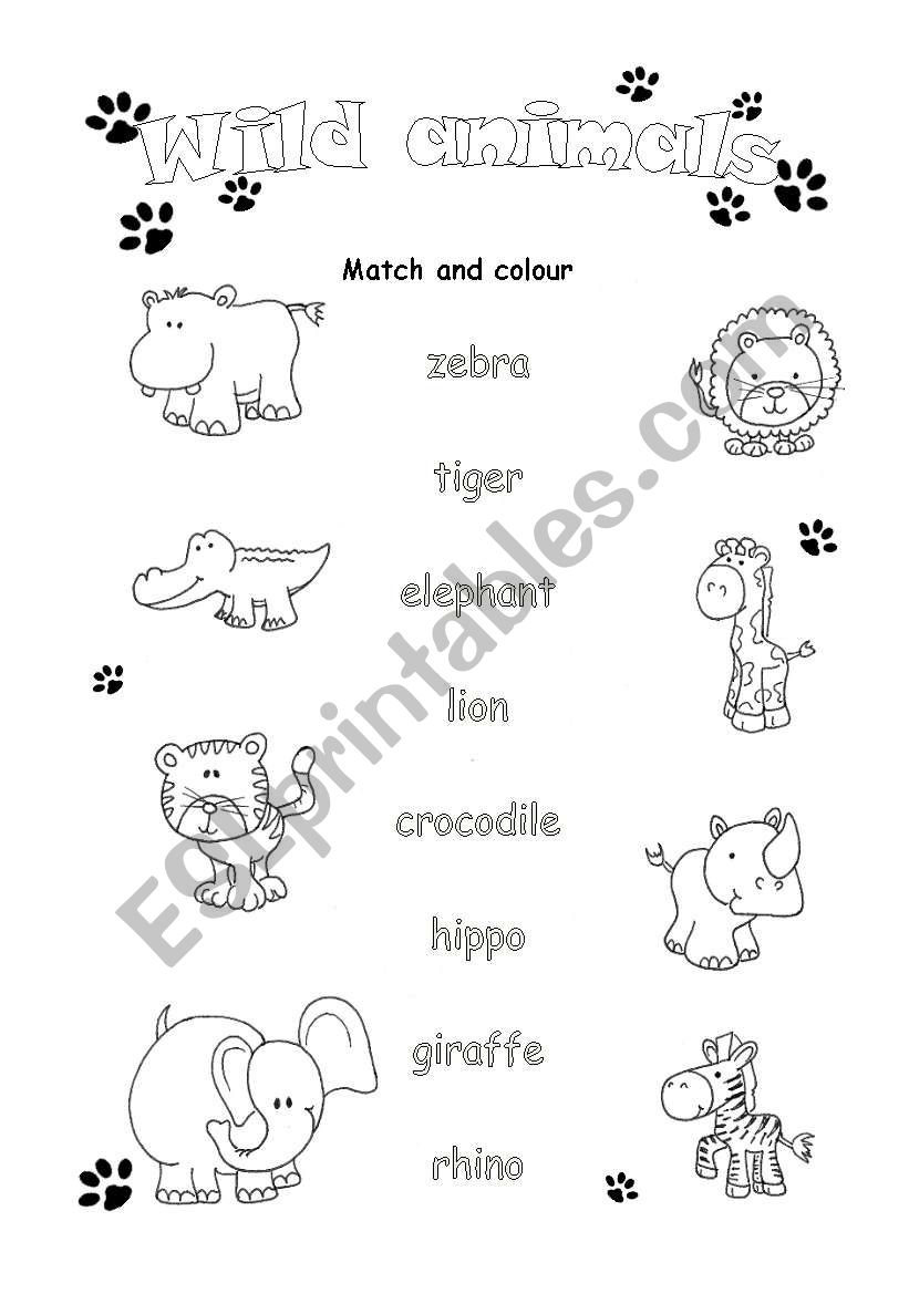 Wild animals worksheet