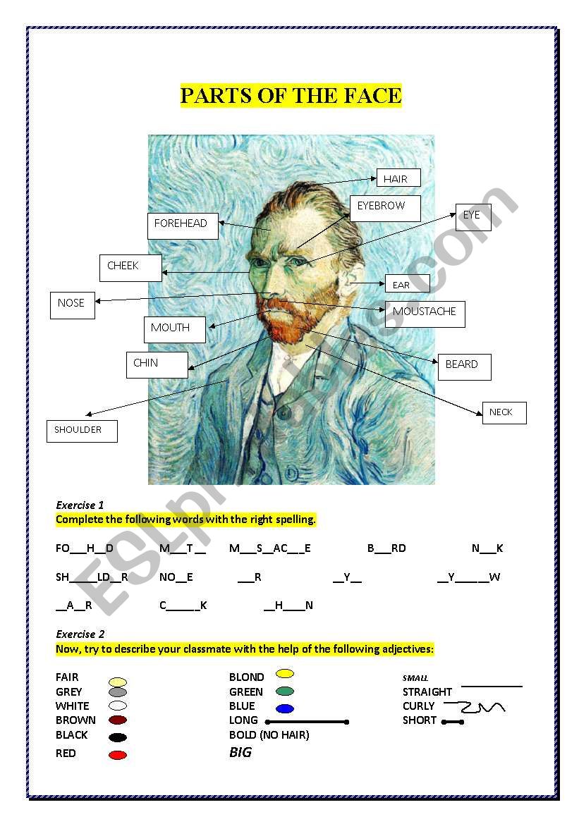 Parts of face in a Van Gogh style