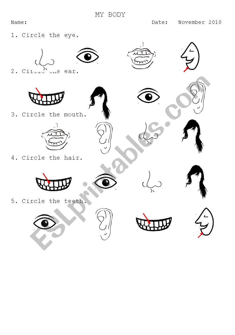 body parts worksheet