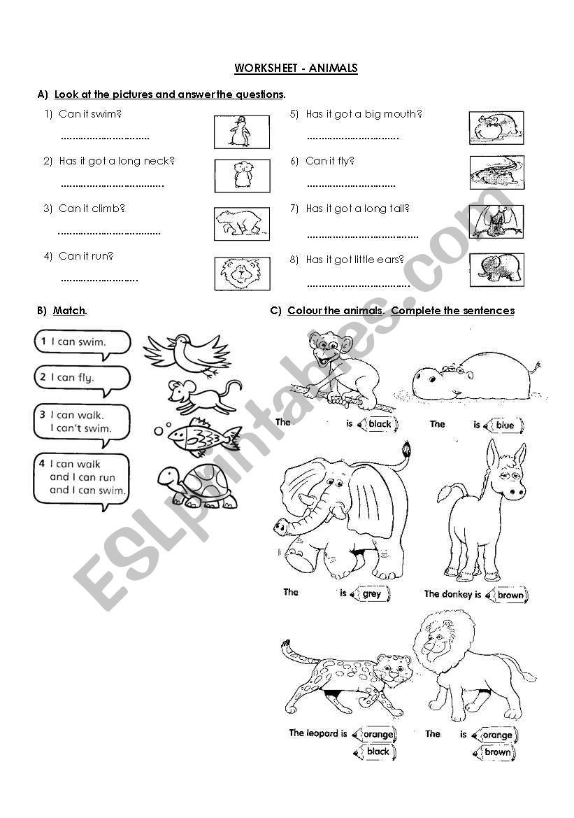 Animals worksheet