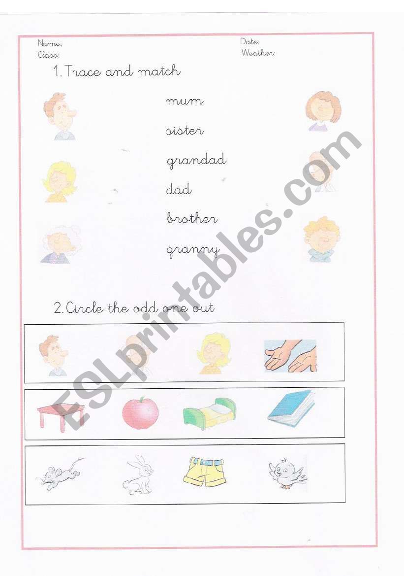 My family worksheet