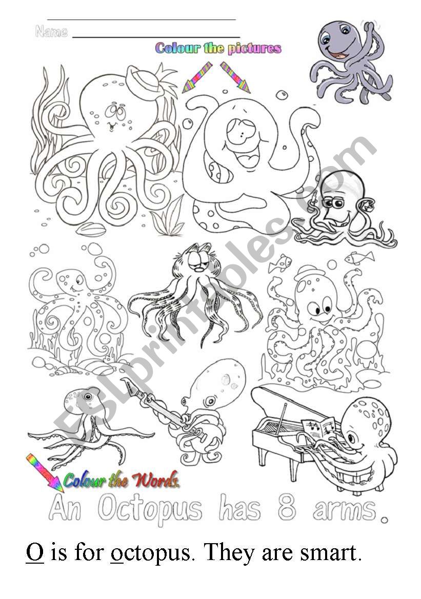 O is for octopus worksheet