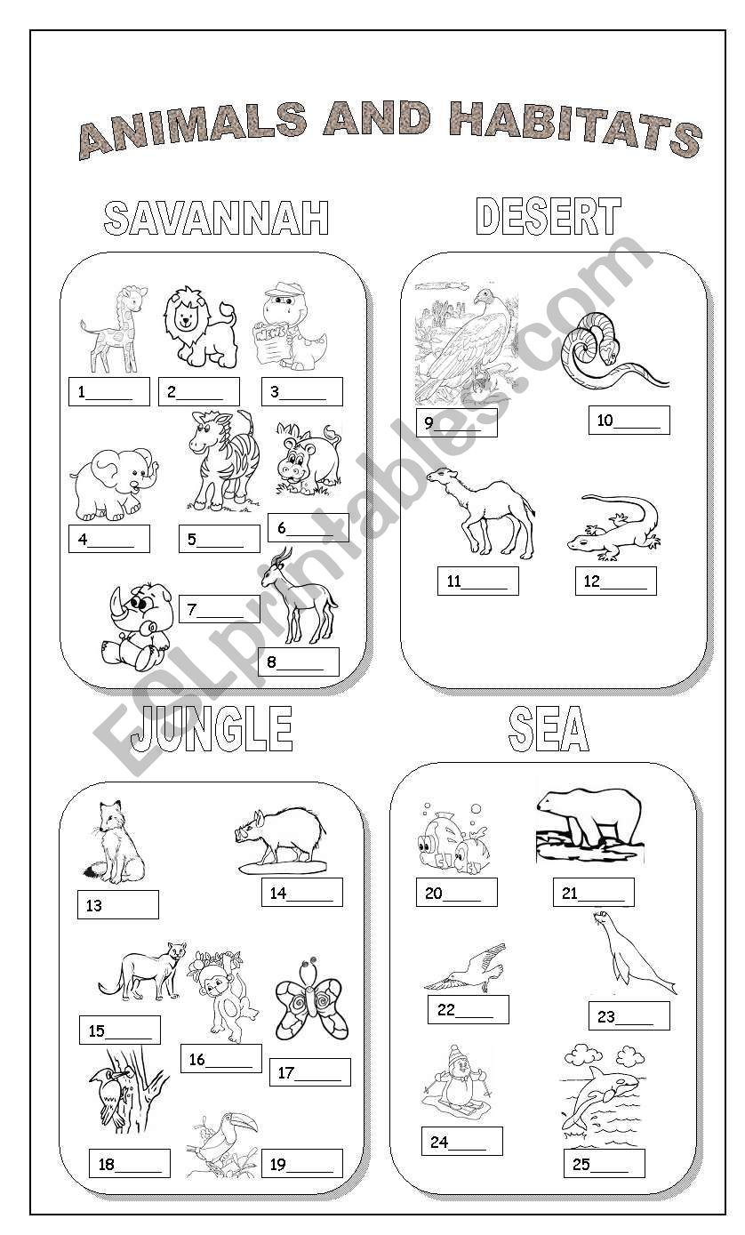 Animals and habitats worksheet