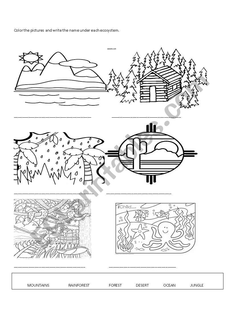 Ecosystems worksheet