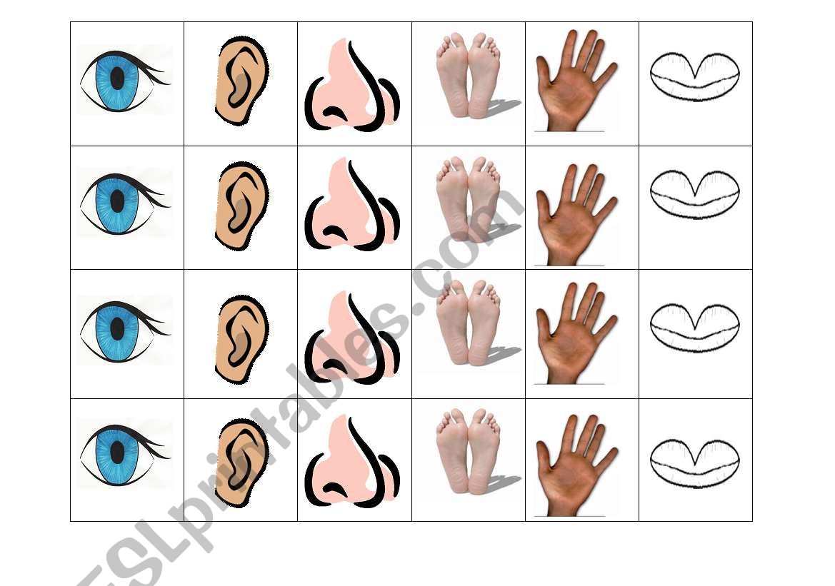 Line Bingo (body parts) worksheet