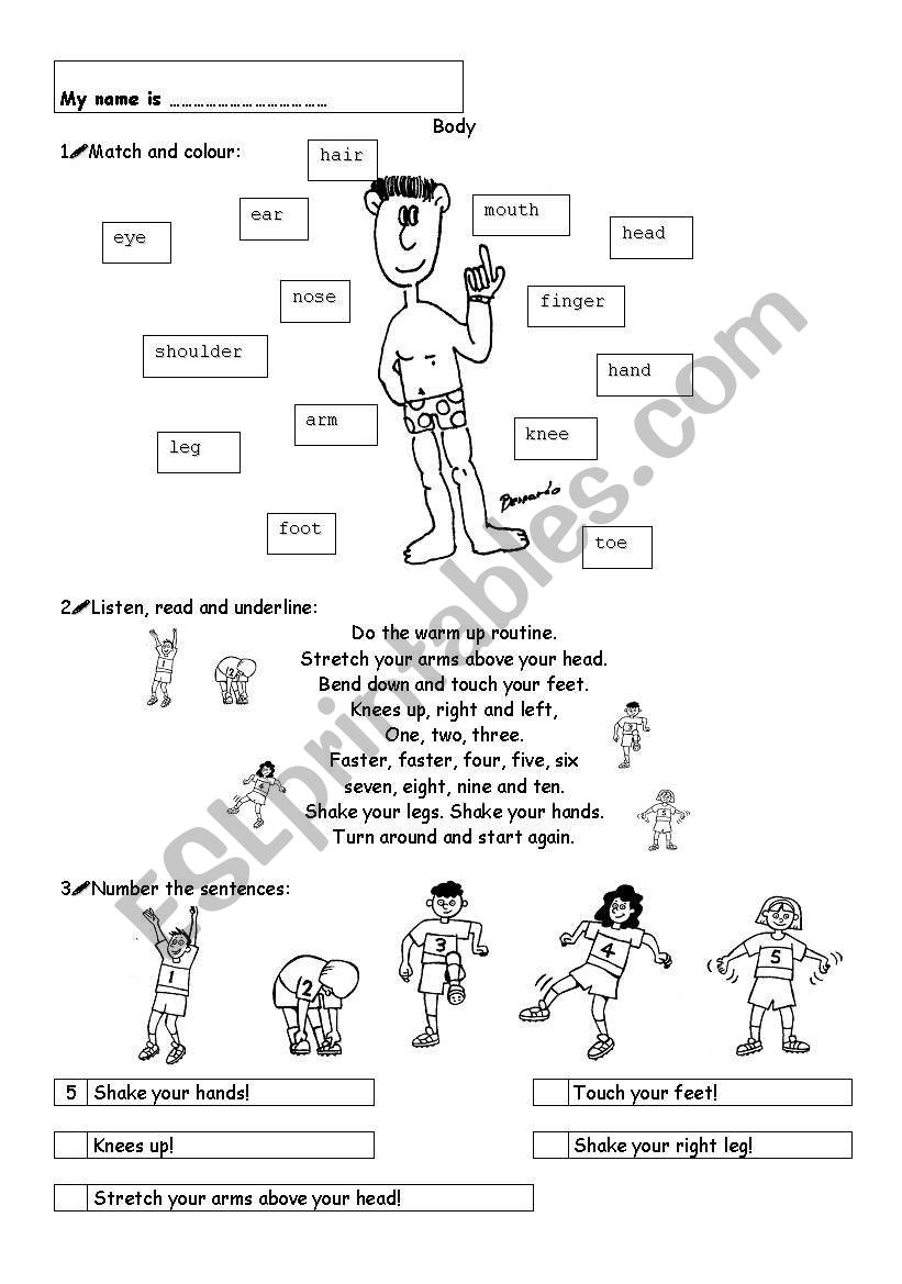 body worksheet