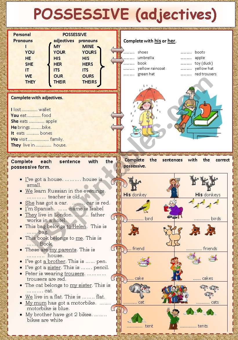 POSSESSIVE ADJECTIVES worksheet