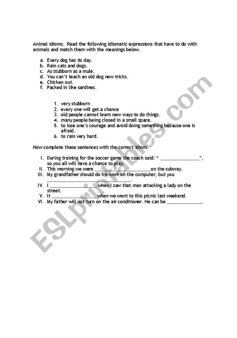 Animal idioms worksheet