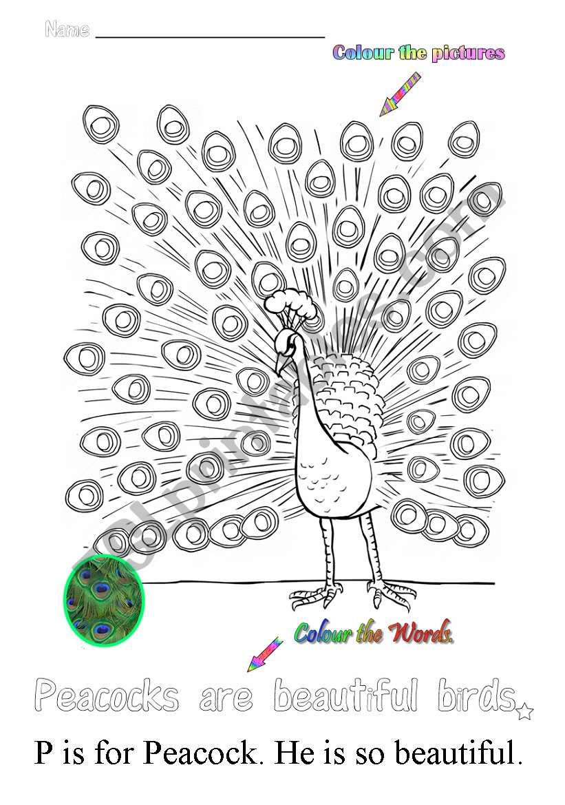 P is for peacock worksheet