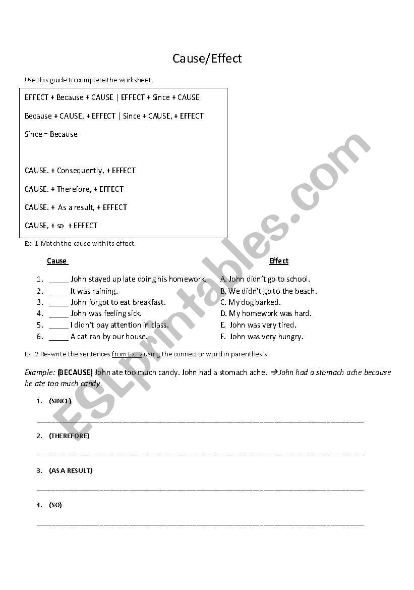 Cause and Effect worksheet worksheet