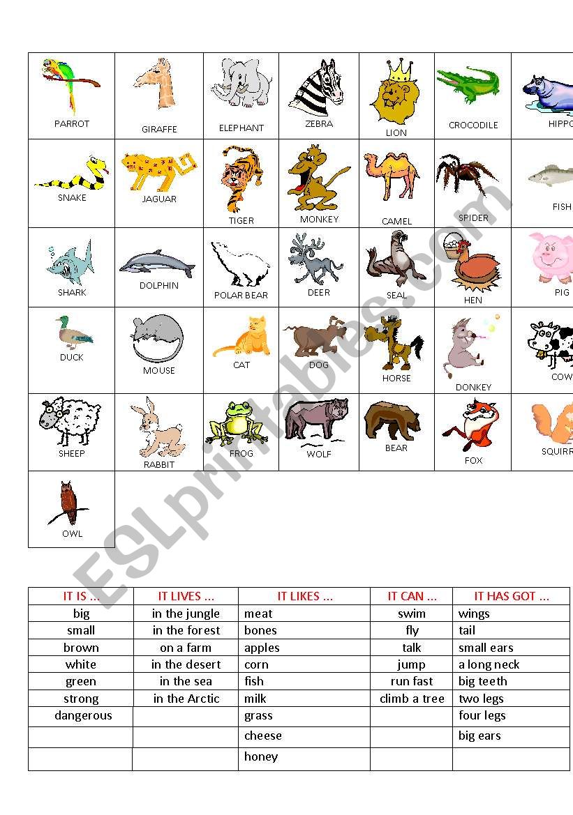 Guess the animal worksheet