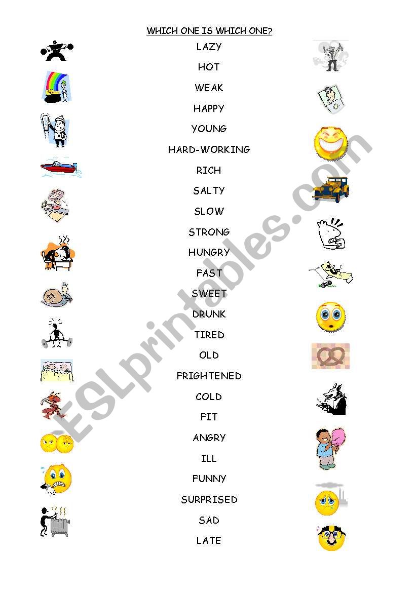 Which one is which one? worksheet